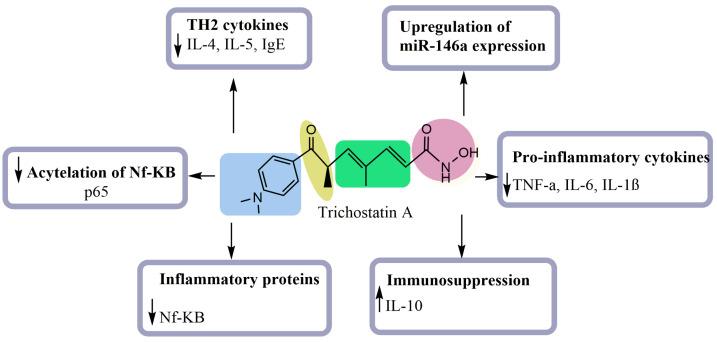 https://cdn.ncbi.nlm.nih.gov/pmc/blobs/a0c2/9612318/86fff0542d30/pharmaceuticals-15-01235-g004.jpg