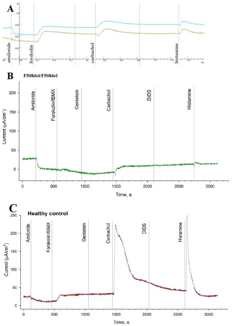 https://cdn.ncbi.nlm.nih.gov/pmc/blobs/a0c5/10530926/ec43f87f5db4/genes-14-01705-g002.jpg