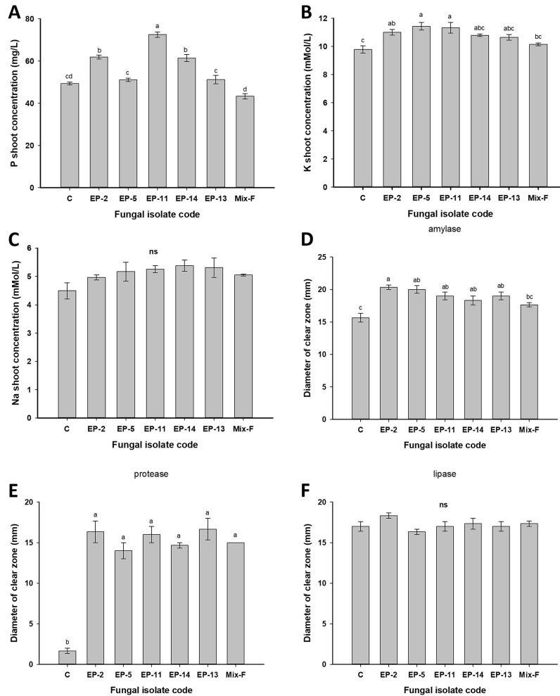 https://cdn.ncbi.nlm.nih.gov/pmc/blobs/a0d6/7911138/783868fce453/biomolecules-11-00140-g004.jpg