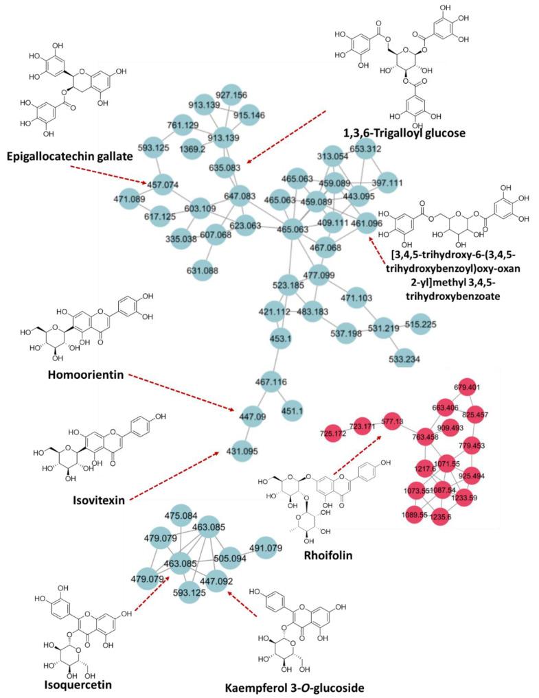 https://cdn.ncbi.nlm.nih.gov/pmc/blobs/a0ee/9781485/2213c7421fb4/molecules-27-09012-g002.jpg