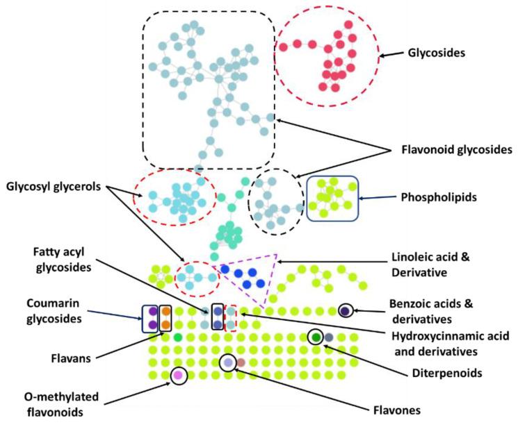 https://cdn.ncbi.nlm.nih.gov/pmc/blobs/a0ee/9781485/49703646f5f5/molecules-27-09012-g001.jpg