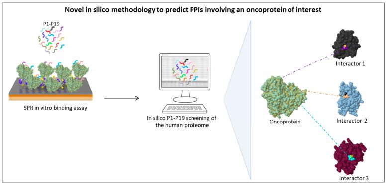 https://cdn.ncbi.nlm.nih.gov/pmc/blobs/a0f7/9737320/d96d1c48755b/cells-11-03739-g001.jpg