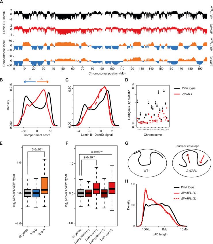 https://cdn.ncbi.nlm.nih.gov/pmc/blobs/a102/5422210/2a287011a6d1/figs4.jpg