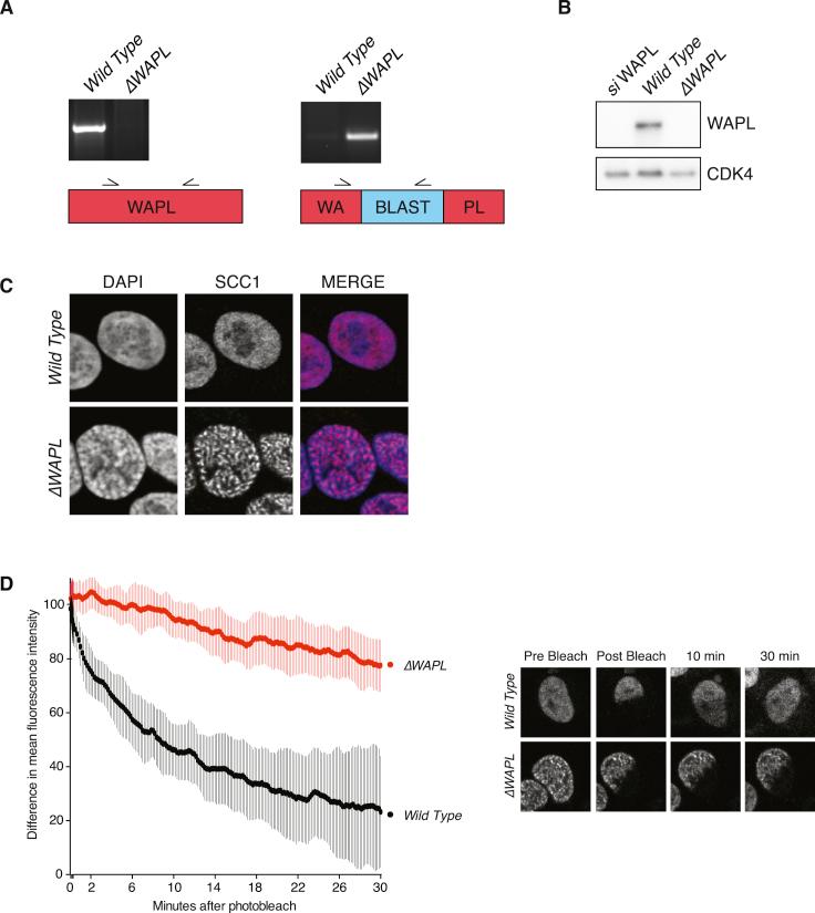 https://cdn.ncbi.nlm.nih.gov/pmc/blobs/a102/5422210/60518d8a66b0/figs1.jpg