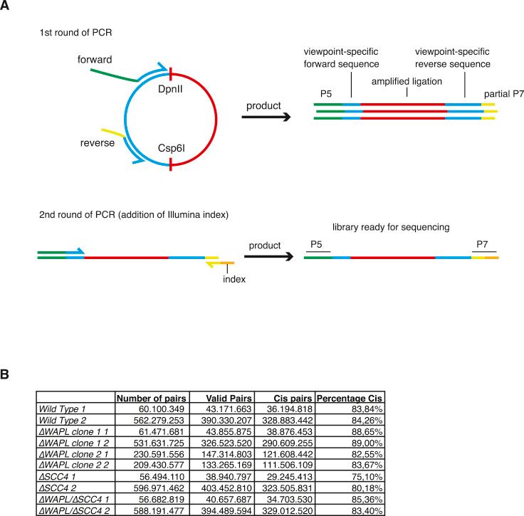 https://cdn.ncbi.nlm.nih.gov/pmc/blobs/a102/5422210/9586f7416518/figs7.jpg