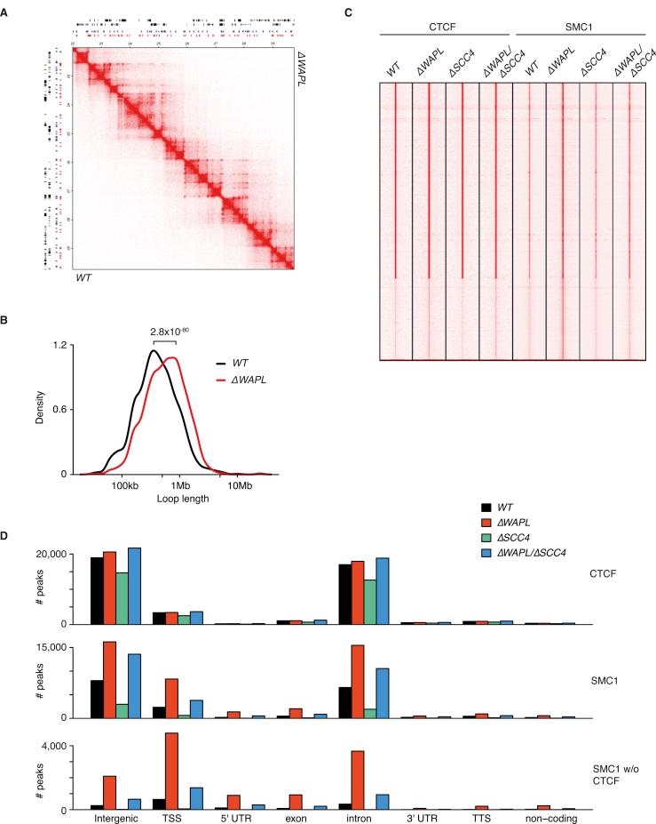 https://cdn.ncbi.nlm.nih.gov/pmc/blobs/a102/5422210/ee7fefa2fb50/figs3.jpg
