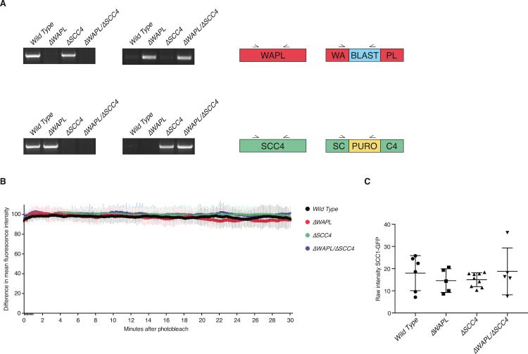 https://cdn.ncbi.nlm.nih.gov/pmc/blobs/a102/5422210/ee80fd8b2e06/figs5.jpg