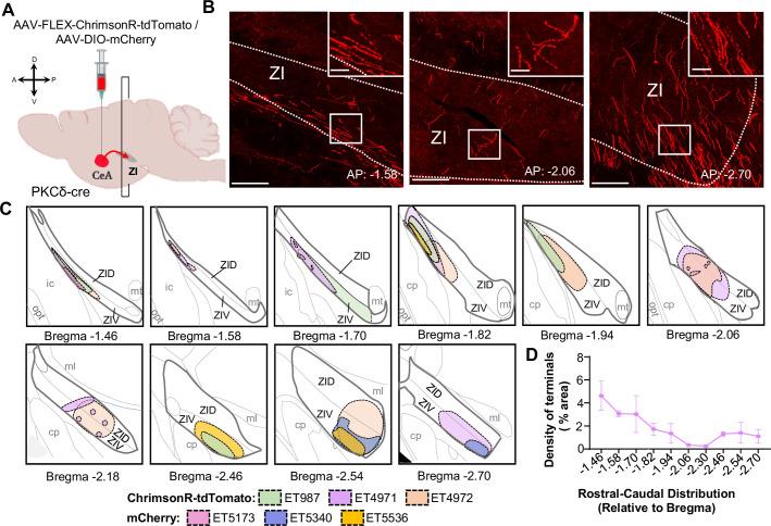 https://cdn.ncbi.nlm.nih.gov/pmc/blobs/a128/9635874/15d045576687/elife-68760-fig1-figsupp2.jpg