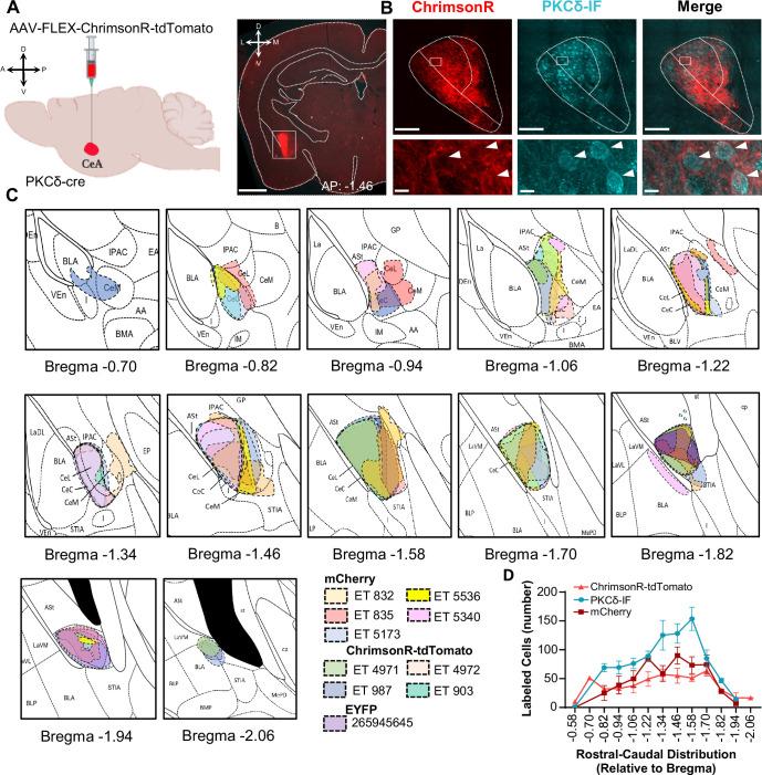 https://cdn.ncbi.nlm.nih.gov/pmc/blobs/a128/9635874/fc2c59ba3f70/elife-68760-fig1-figsupp1.jpg
