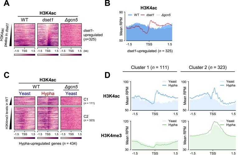 https://cdn.ncbi.nlm.nih.gov/pmc/blobs/a144/12235511/7b3d6488fd62/gkaf632fig5.jpg