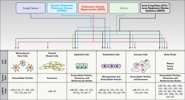 https://cdn.ncbi.nlm.nih.gov/pmc/blobs/a149/7346382/7b7f9a5a1fee/12931_2020_1423_Fig2_HTML.jpg