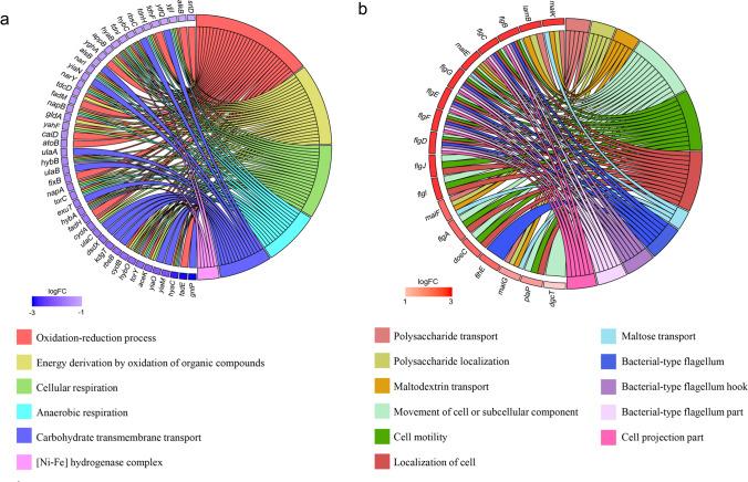 https://cdn.ncbi.nlm.nih.gov/pmc/blobs/a162/9767853/b26697ec9460/253_2022_12339_Fig4_HTML.jpg