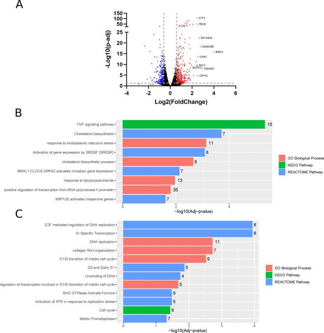 https://cdn.ncbi.nlm.nih.gov/pmc/blobs/a166/11187620/35fd85e1c05e/f1000research-12-166562-g0000.jpg