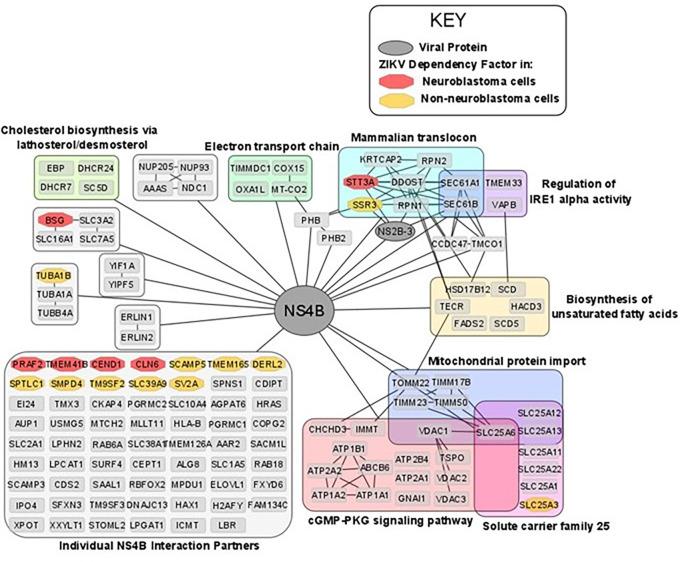 https://cdn.ncbi.nlm.nih.gov/pmc/blobs/a166/11187620/b5eded15b6f0/f1000research-12-166562-g0006.jpg