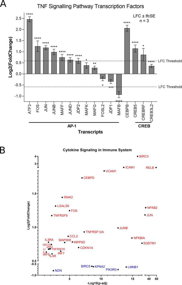 https://cdn.ncbi.nlm.nih.gov/pmc/blobs/a166/11187620/b93d7ab5ceca/f1000research-12-166562-g0002.jpg