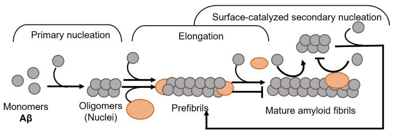 https://cdn.ncbi.nlm.nih.gov/pmc/blobs/a16d/8946693/88f13e935605/biomolecules-12-00446-g009.jpg