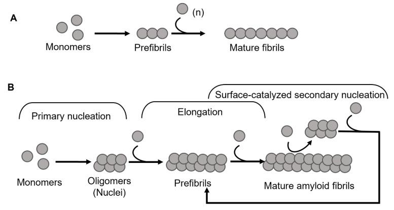 https://cdn.ncbi.nlm.nih.gov/pmc/blobs/a16d/8946693/e5fce0118c0c/biomolecules-12-00446-g001.jpg
