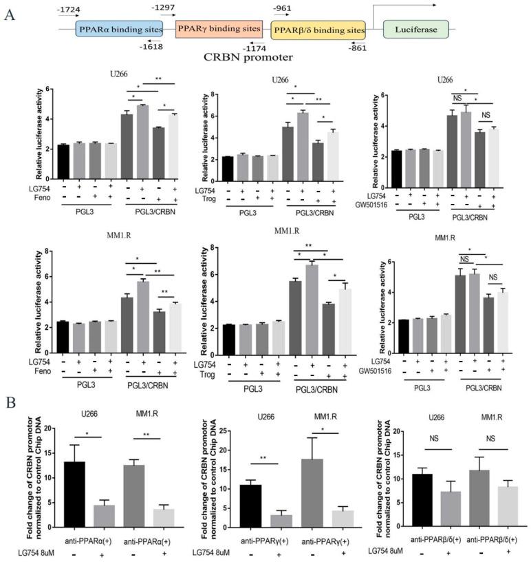https://cdn.ncbi.nlm.nih.gov/pmc/blobs/a181/10417536/1d1e8f37a84d/cells-12-01993-g003.jpg