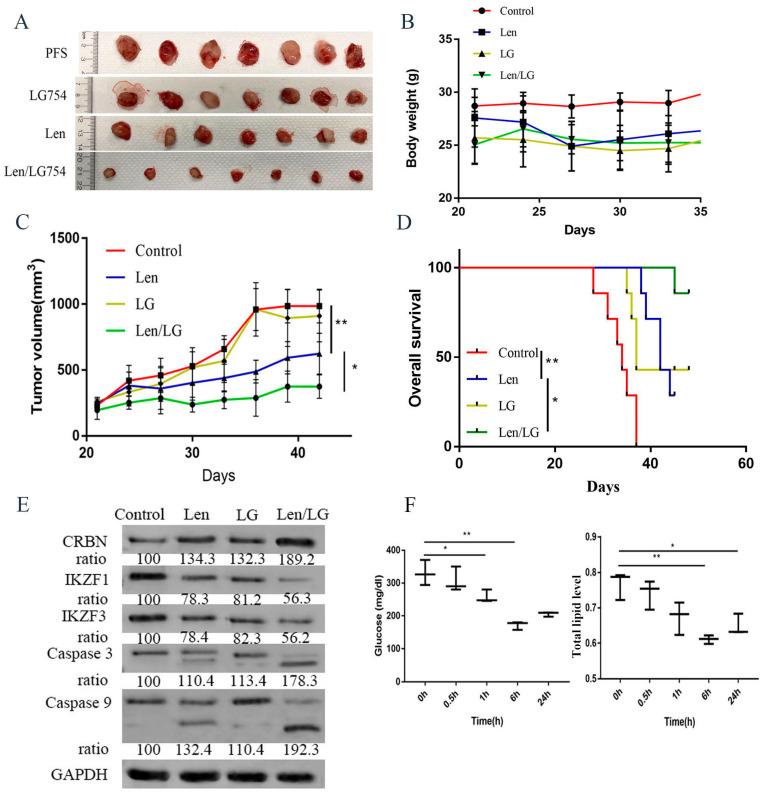 https://cdn.ncbi.nlm.nih.gov/pmc/blobs/a181/10417536/8bbcefdb4727/cells-12-01993-g006.jpg