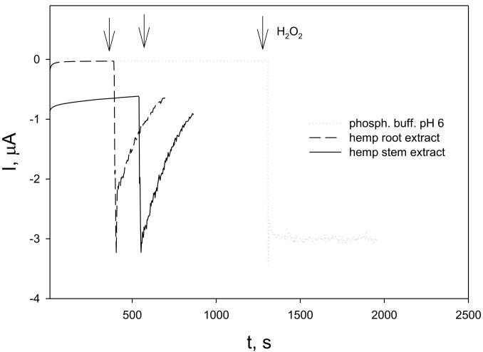 https://cdn.ncbi.nlm.nih.gov/pmc/blobs/a182/10343532/e34d0dc01095/molecules-28-04928-g004.jpg