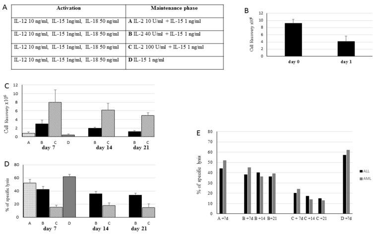 https://cdn.ncbi.nlm.nih.gov/pmc/blobs/a187/8036252/36f58ce59545/cancers-13-01577-g001.jpg