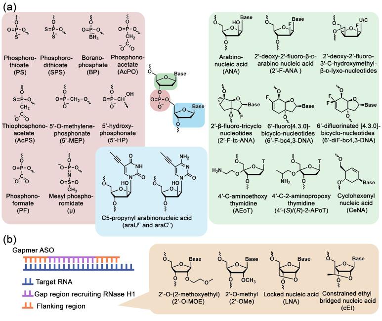 https://cdn.ncbi.nlm.nih.gov/pmc/blobs/a192/12292337/1623ba84744a/biomolecules-15-00965-g002.jpg
