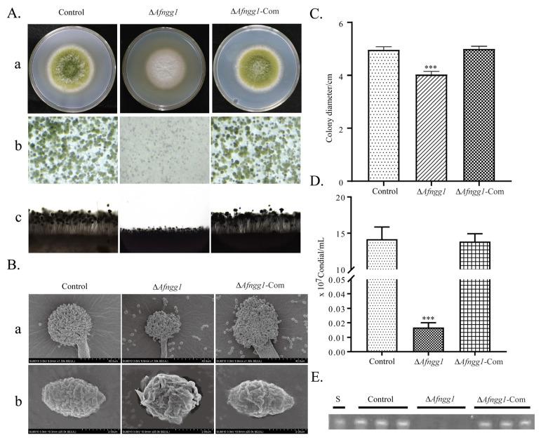 https://cdn.ncbi.nlm.nih.gov/pmc/blobs/a195/9861817/445ec4cef1cc/toxins-15-00007-g002.jpg