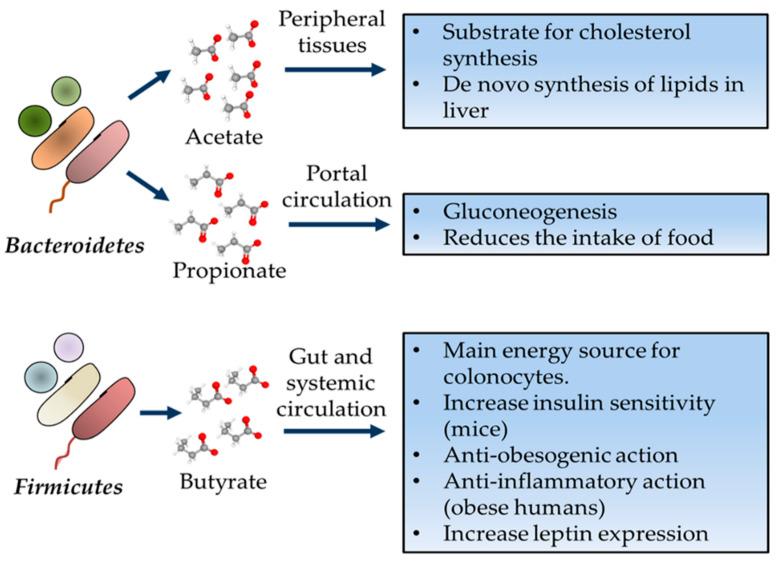 https://cdn.ncbi.nlm.nih.gov/pmc/blobs/a197/8000147/88f824c15f3b/cells-10-00629-g004.jpg