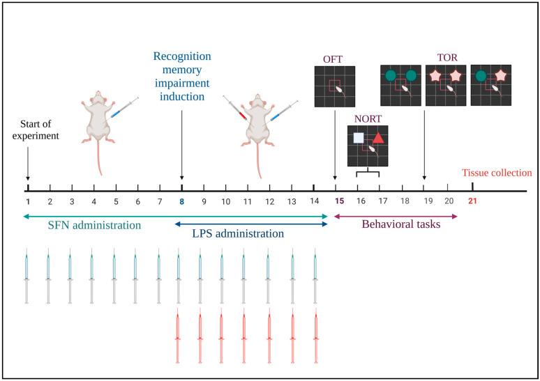 https://cdn.ncbi.nlm.nih.gov/pmc/blobs/a1a5/11118062/fdaf6072040e/biomedicines-12-01107-g001.jpg