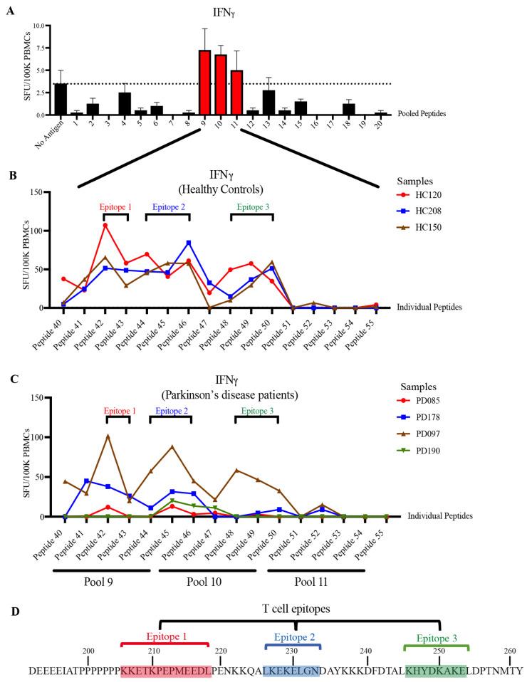 https://cdn.ncbi.nlm.nih.gov/pmc/blobs/a1a5/9139896/6c4edd8b1d18/cells-11-01649-g004.jpg