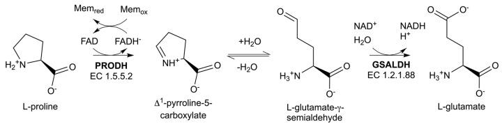 https://cdn.ncbi.nlm.nih.gov/pmc/blobs/a1aa/11596857/4e00920d5ec5/molecules-29-05408-g001.jpg
