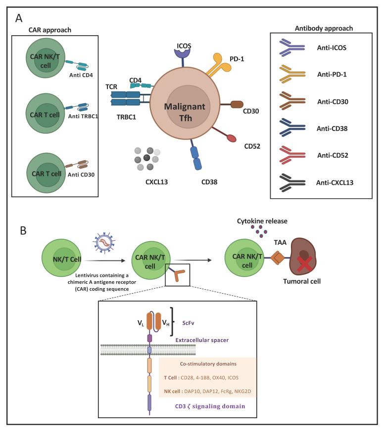 https://cdn.ncbi.nlm.nih.gov/pmc/blobs/a1d0/9139536/082af1a2652b/cancers-14-02392-g004.jpg