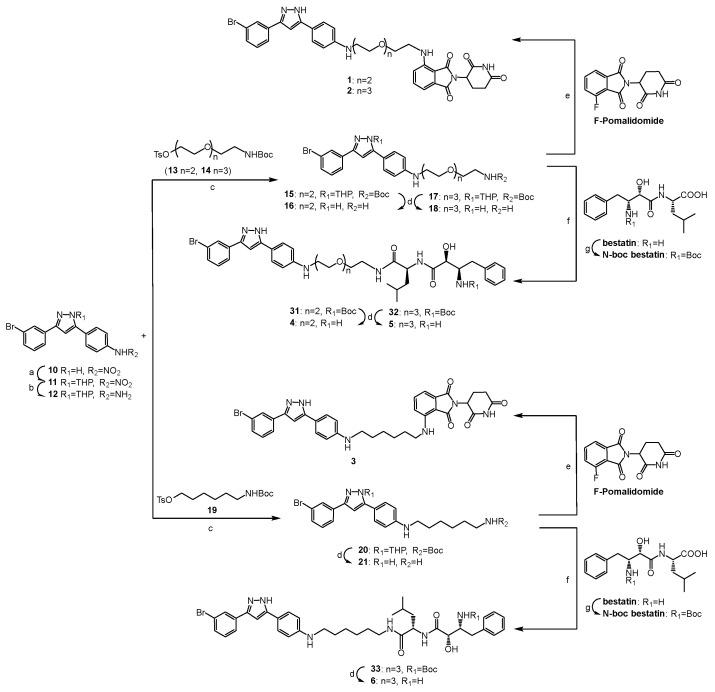 https://cdn.ncbi.nlm.nih.gov/pmc/blobs/a1d5/10254247/44cdefb1e76f/molecules-28-04458-sch001.jpg