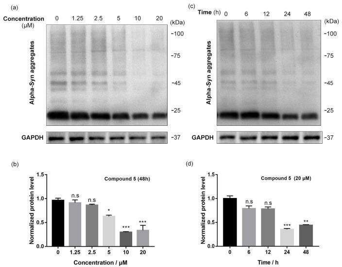 https://cdn.ncbi.nlm.nih.gov/pmc/blobs/a1d5/10254247/753f403cb48b/molecules-28-04458-g003.jpg