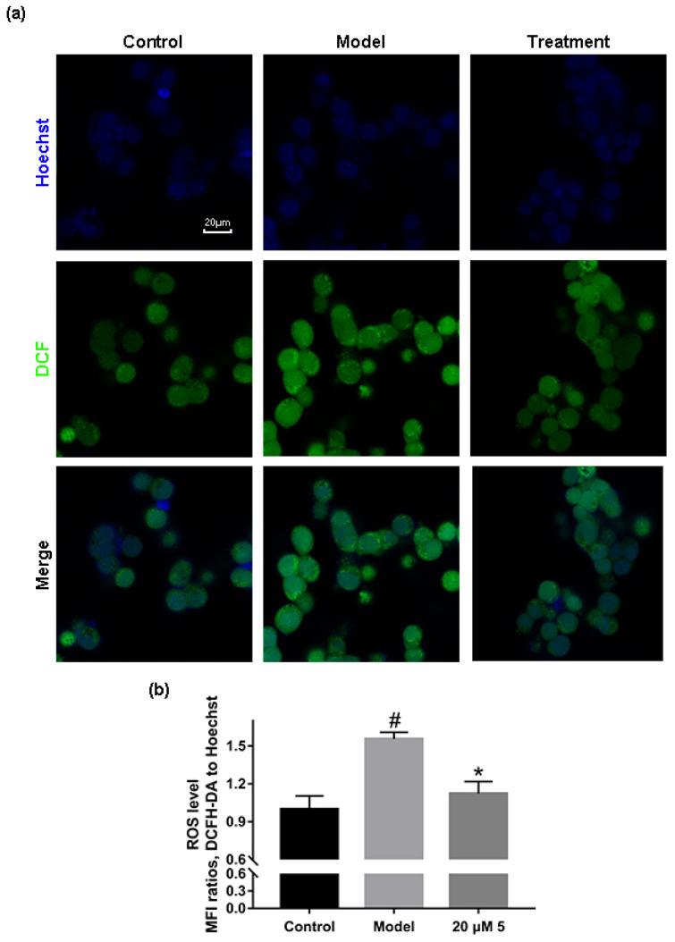 https://cdn.ncbi.nlm.nih.gov/pmc/blobs/a1d5/10254247/da6dda7a0227/molecules-28-04458-g004.jpg