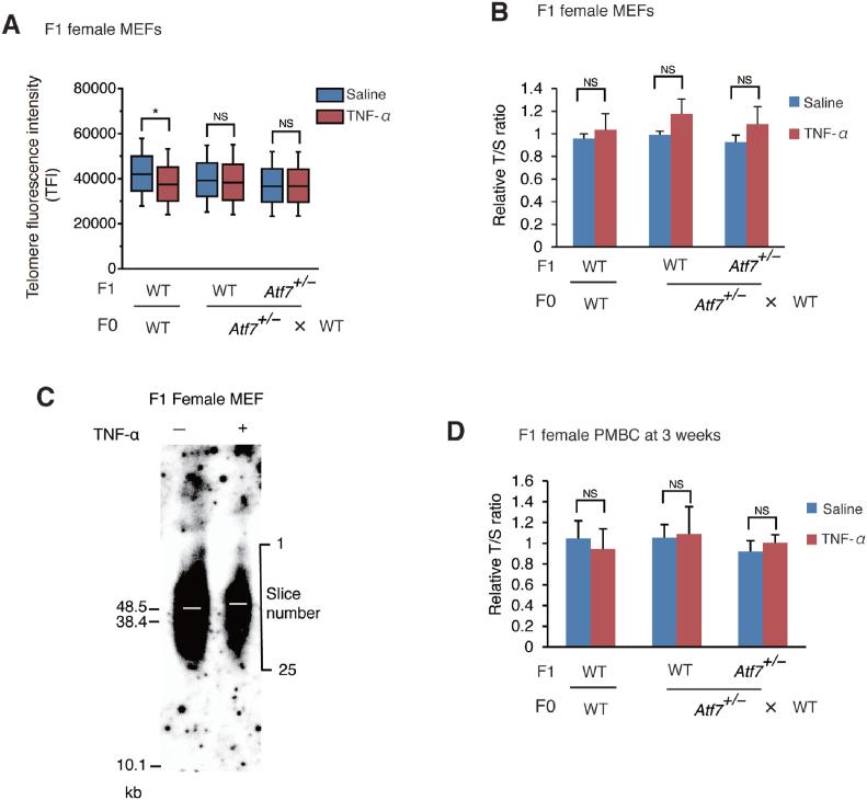 https://cdn.ncbi.nlm.nih.gov/pmc/blobs/a1ef/6326783/dfc72ccc628e/gky1149fig2.jpg