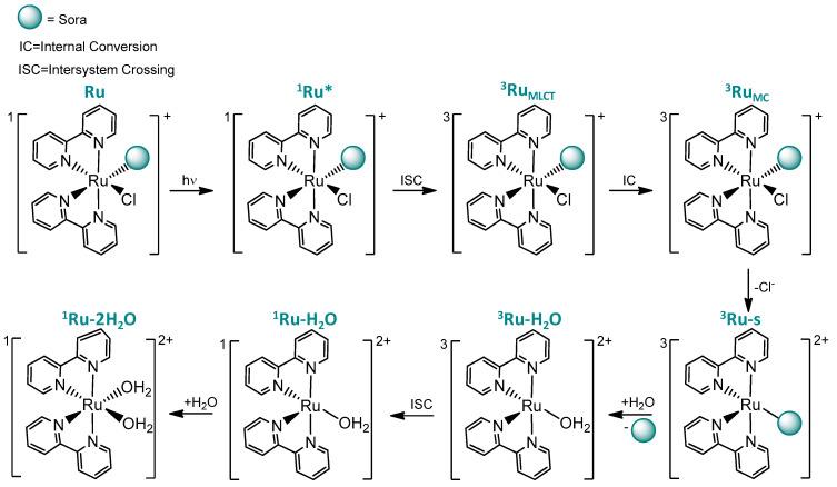 https://cdn.ncbi.nlm.nih.gov/pmc/blobs/a209/11433670/805146d65e19/molecules-29-04298-sch002.jpg
