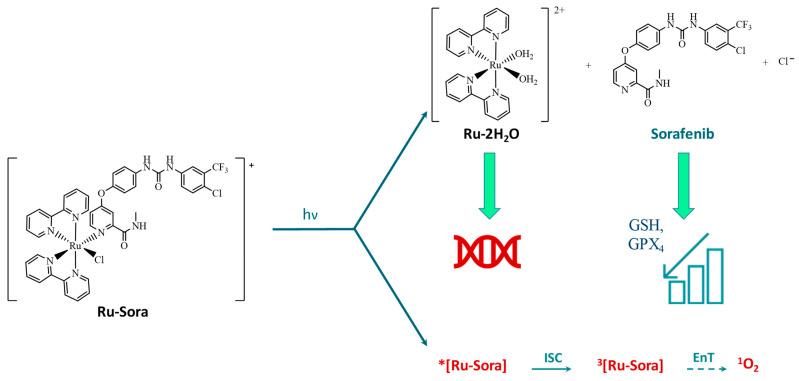 https://cdn.ncbi.nlm.nih.gov/pmc/blobs/a209/11433670/be99ad6bdf27/molecules-29-04298-sch001.jpg