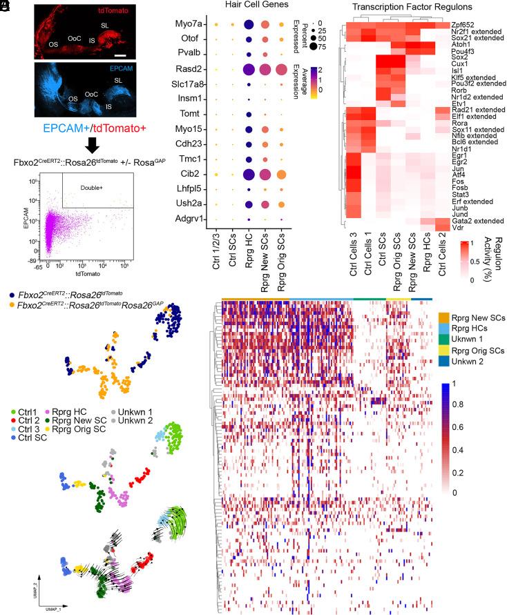 https://cdn.ncbi.nlm.nih.gov/pmc/blobs/a234/10835112/6a714edb5bd8/pnas.2304680121fig02.jpg