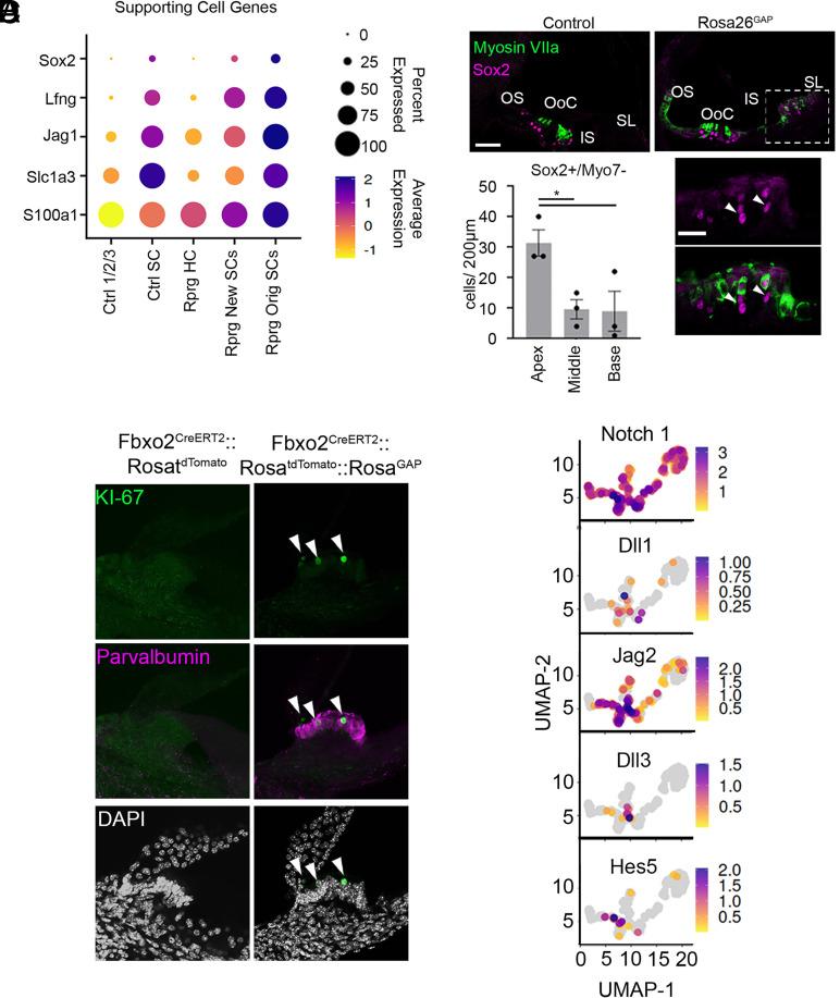 https://cdn.ncbi.nlm.nih.gov/pmc/blobs/a234/10835112/76c403f8251d/pnas.2304680121fig03.jpg