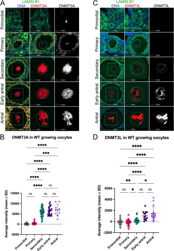 https://cdn.ncbi.nlm.nih.gov/pmc/blobs/a234/11971813/72fa848801fd/13072_2025_583_Fig4_HTML.jpg