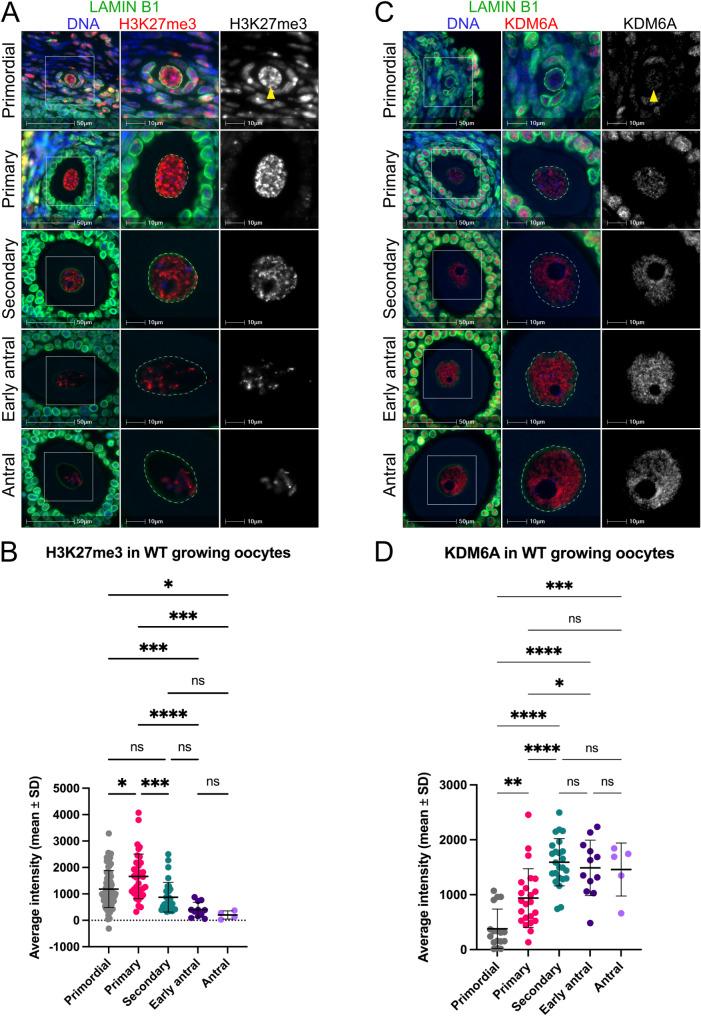 https://cdn.ncbi.nlm.nih.gov/pmc/blobs/a234/11971813/8753d5f73691/13072_2025_583_Fig3_HTML.jpg