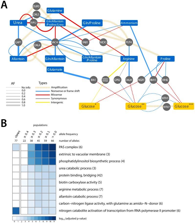 https://cdn.ncbi.nlm.nih.gov/pmc/blobs/a248/3886903/485cd7caf506/pgen.1004041.g003.jpg