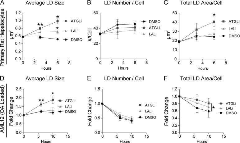 https://cdn.ncbi.nlm.nih.gov/pmc/blobs/a258/6781454/ea1be0537f0e/JCB_201803153_Fig4.jpg