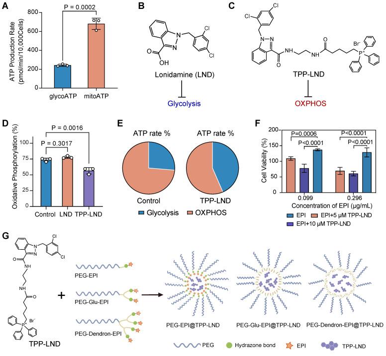 https://cdn.ncbi.nlm.nih.gov/pmc/blobs/a273/12316031/b497cf377da1/thnov15p7607g002.jpg