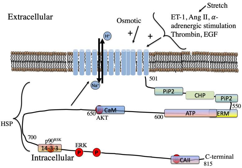 https://cdn.ncbi.nlm.nih.gov/pmc/blobs/a27d/11266974/8cb0c5dd7e5d/2153-8174-23-8-284-g3.jpg