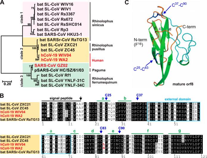 https://cdn.ncbi.nlm.nih.gov/pmc/blobs/a285/7587431/499edb0f8cb1/mBio.02431-20-f0001.jpg