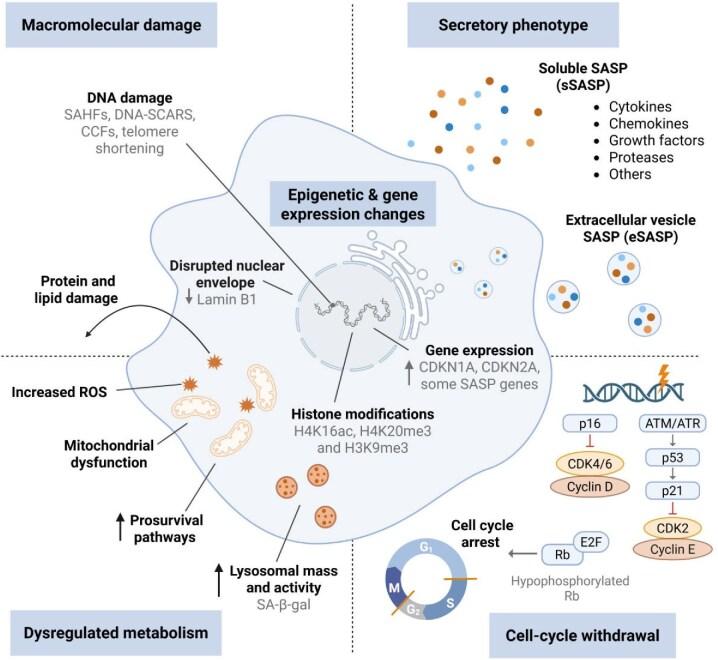 https://cdn.ncbi.nlm.nih.gov/pmc/blobs/a28c/12319541/44c9dce2e623/sfaf190fig3.jpg