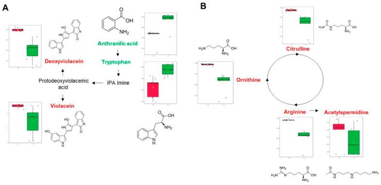 https://cdn.ncbi.nlm.nih.gov/pmc/blobs/a292/10215488/c11f783bcb69/antibiotics-12-00814-g004.jpg