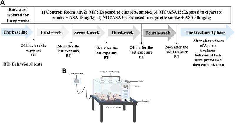 https://cdn.ncbi.nlm.nih.gov/pmc/blobs/a294/9868824/f14d7dec9cfd/fphar-13-1047236-g001.jpg